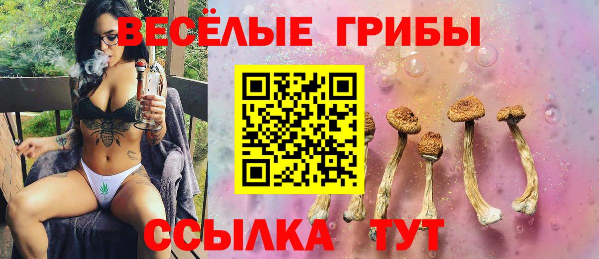 Псилоцибиновые грибы Psilocybine cubensis Россошь
