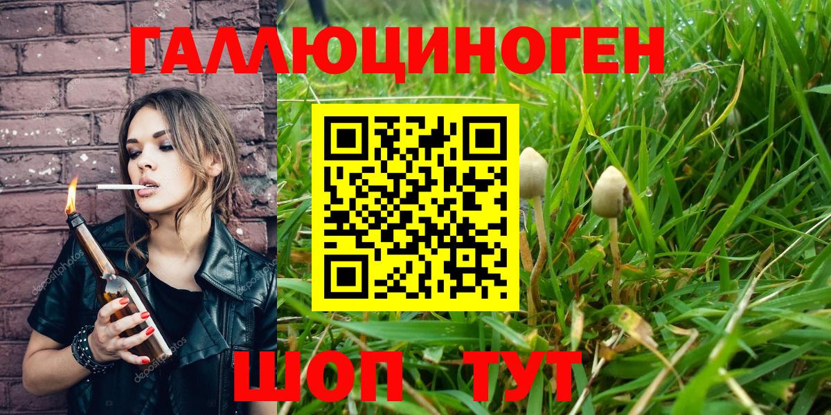 Галлюциногенные грибы мицелий  магазин  наркотиков  Россошь  Вход с VPN 